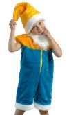 Детский карнавальный костюм Гнома.  Такой веселый гномик с бородой - очень популярный карнавальный костюм. Можно к компании семи гномов добавить и Белоснежку. Или отправить маленького волшебника на помощь Санта Клаусу