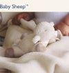 Спящая овечка, Мягкая игрушка для новорожденного, Cloud B, Baby Sleep Sheep, Baby Sheep