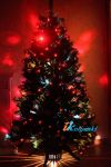 Магазин светодиодных елок на юго-востоке Москвы в Люберцах продает фирменные новогодние елки с доставкой на дом - выгодно купить елку в интернет-магазине Иколяски  www.ikolyaski.ru , заказ по тел. в Москве +7-495-648-67-02 , WhatsApp , Viber +7-916-2