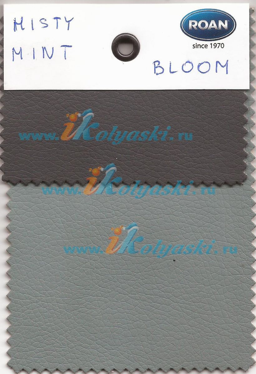 Коляска 3 в 1 Roan Bloom Misty Mint для новорожденных - новинка 2020