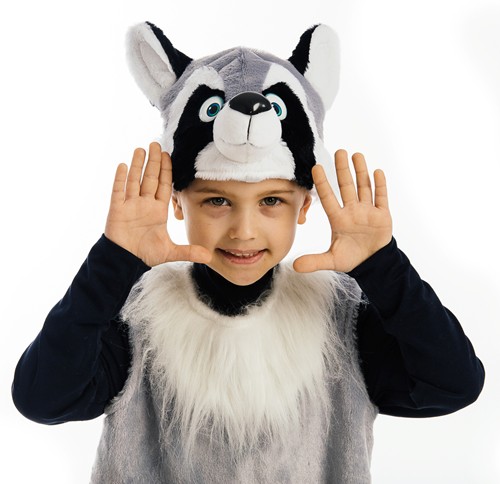 Костюм Енота детский, карнавальный костюм Крошка Енот,  размер на 4-6 лет, рост 116-128 см, Карнавалия, Остров Игрушки.